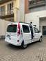 Renault Kangoo 1.5 dCi  5Posti Limited NAVI MOTORE NUOVO!!! Bianco - thumbnail 4