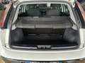 Fiat Punto Evo 1.2 5 porte S&S Dynamic Blu&me Blanc - thumbnail 13