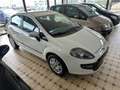 Fiat Punto Evo 1.2 5 porte S&S Dynamic Blu&me Blanc - thumbnail 2