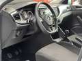 Volkswagen Polo 1.6TDI Advance 59kW Blanco - thumbnail 17