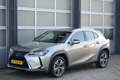 Lexus UX 300e Business 54 kWh OrigNL | NAP Gris - thumbnail 13