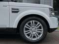 Land Rover Discovery *3.0-SDV6*HSE*EURO-6b*FULL-OP.*7-PLACES*MERIDIAN* Blanco - thumbnail 15
