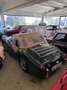 Triumph TR3 ASI - Revisione - thumbnail 4