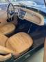 Triumph TR3 ASI - Revisione - thumbnail 10