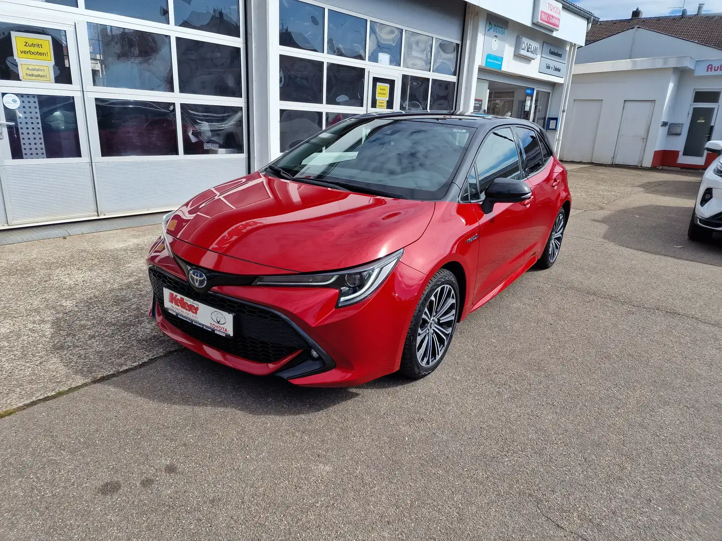 Toyota Corolla Hybrid Team D,Navi,Allwetter - 1
