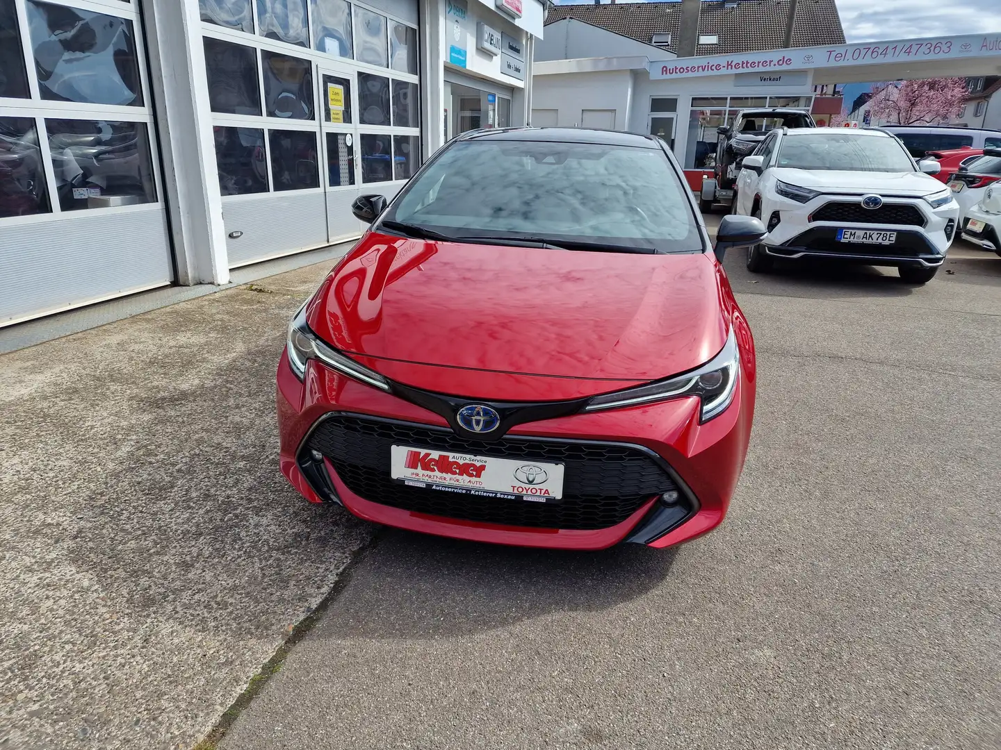 Toyota Corolla Hybrid Team D,Navi,Allwetter - 2