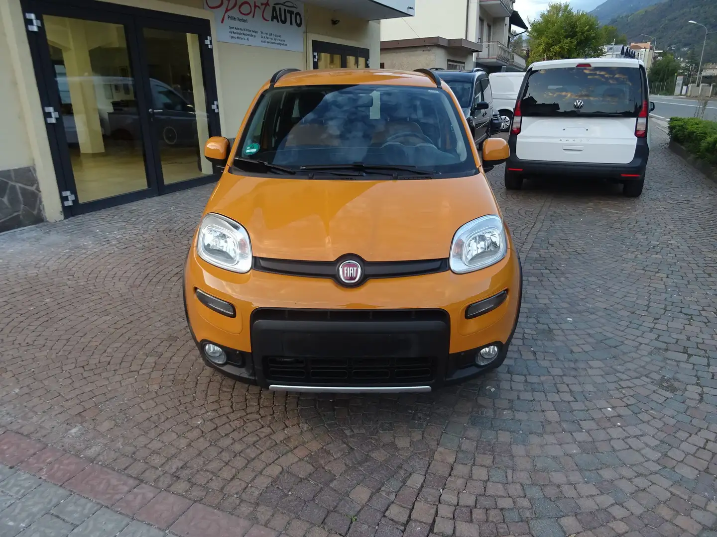 Fiat Panda Panda 1.3 Multijet 4x4 Rock Orange - 2