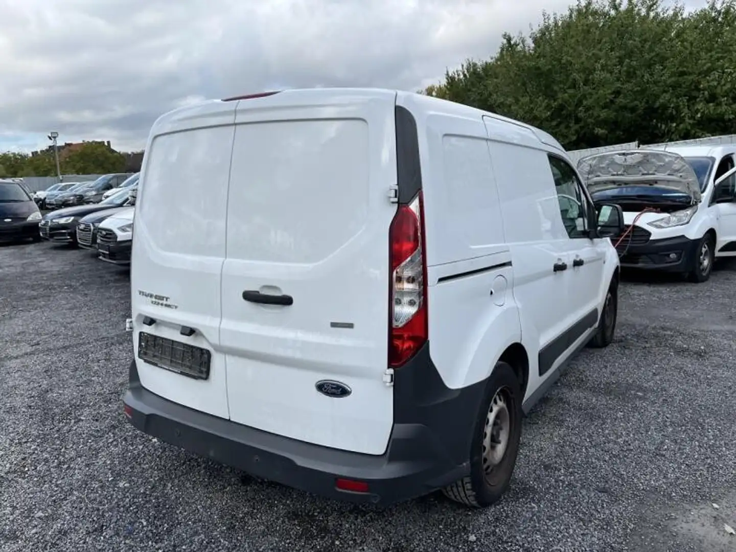 Ford Transit Connect Regalsystem AHK Winter-Paket Weiß - 2