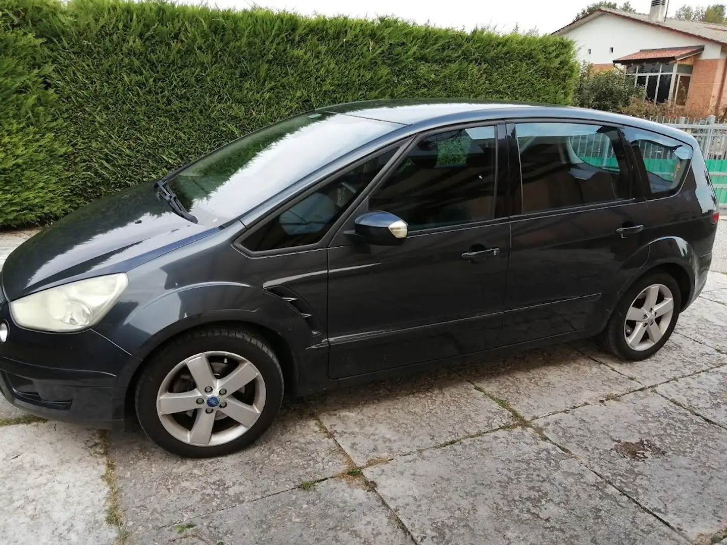 Ford S-Max S-Max 2.0 tdci Titanium dpf Grigio - 1