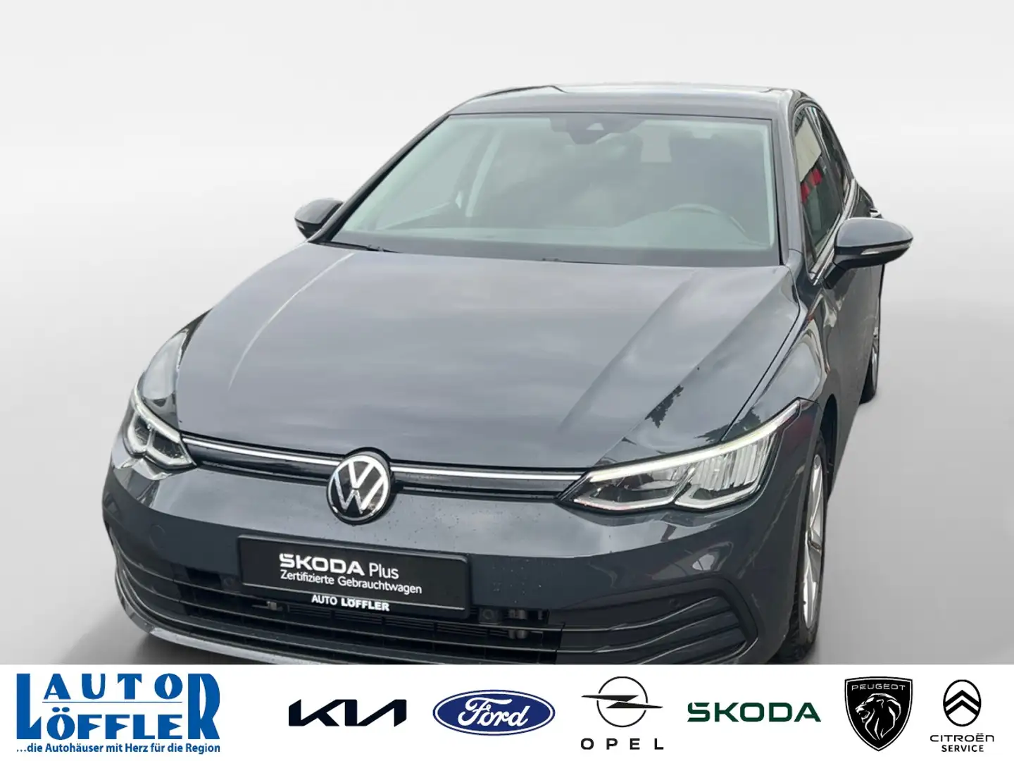 Volkswagen Golf VIII Lim. Life Klima Einparkhilfe Fenster el. Grau - 1