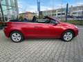 Volkswagen Golf 1.4 TSI 90 kW LIFE Cabriolet Red - thumbnail 4