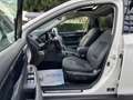 Subaru OUTBACK Outback 2.0d Lineartronic Unlimited Blanc - thumbnail 10