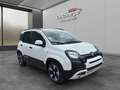 Fiat Panda 4x2 FireFly Hybrid 70 Pandina Weiß - thumbnail 2