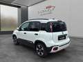 Fiat Panda 4x2 FireFly Hybrid 70 Pandina Weiß - thumbnail 5