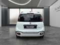 Fiat Panda 4x2 FireFly Hybrid 70 Pandina Weiß - thumbnail 6