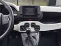 Fiat Panda 4x2 FireFly Hybrid 70 Pandina Weiß - thumbnail 8