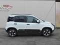 Fiat Panda 4x2 FireFly Hybrid 70 Pandina Weiß - thumbnail 4