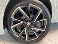 Skoda Kamiq 1.5 TSI Monte Carlo Navi PDC Sitzheizung Grau - thumbnail 16