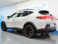 CUPRA Formentor 2.5 TSI 390 VZ5 Taiga Grey DSG 4Drive Beige - thumbnail 7