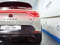CUPRA Formentor 2.5 TSI 390 VZ5 Taiga Grey DSG 4Drive Beige - thumbnail 12