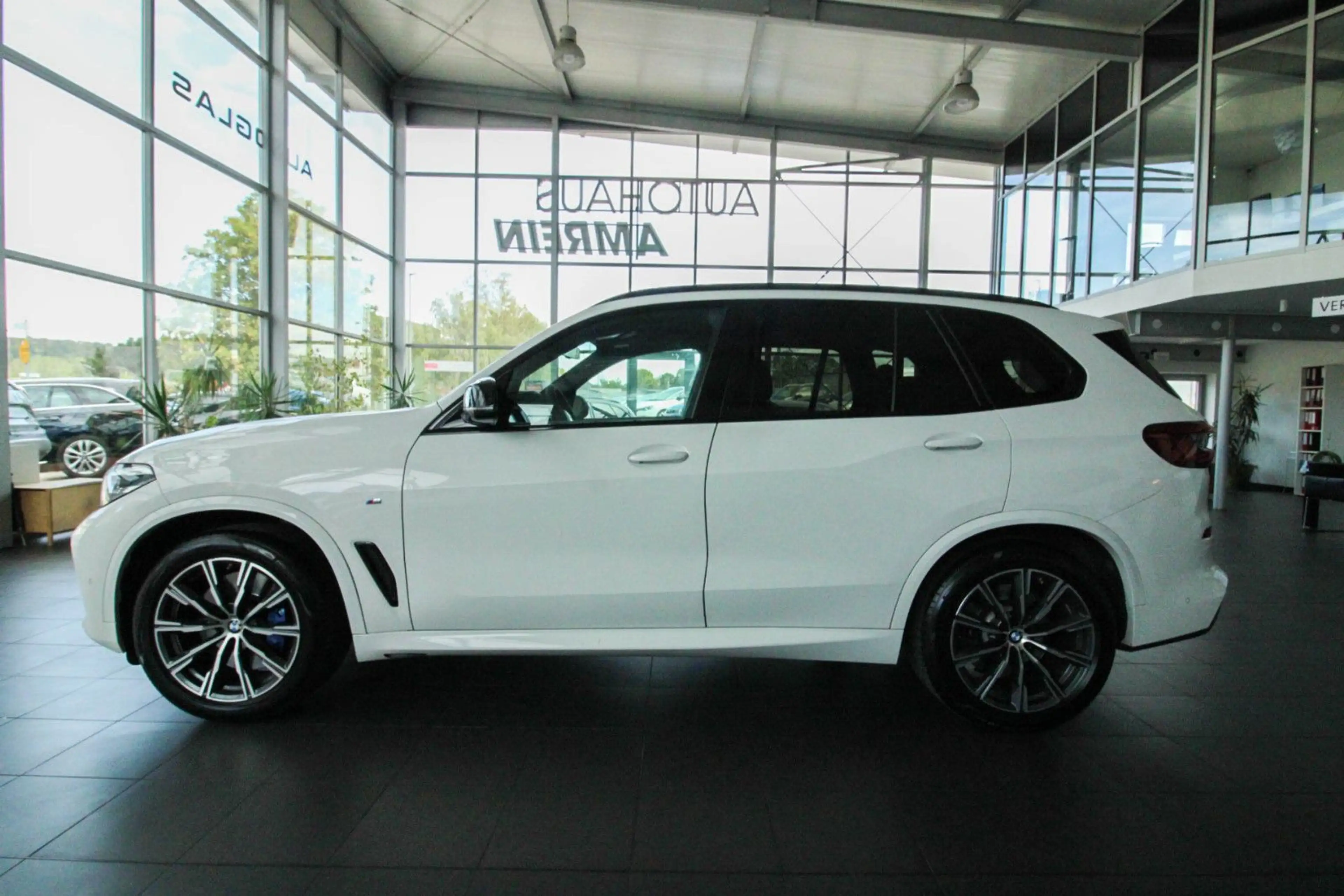 BMW X5 xDrive30d M Sport/AHK/RFK/HUD/LED/PANO/STANDH — photo 10