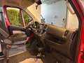Fiat Ducato L1H1 Rolstoelbus - Rolstoel voorin Rood - thumbnail 16