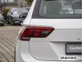 Volkswagen Tiguan R-Line 1,5 TSI LED Navi Standhz ParkPilot Weiß - thumbnail 11