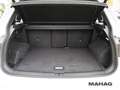 Volkswagen Tiguan R-Line 1,5 TSI LED Navi Standhz ParkPilot Weiß - thumbnail 25