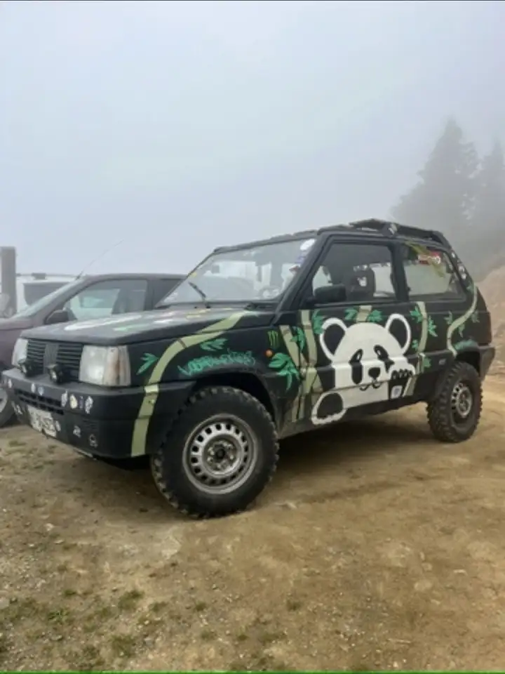 Fiat Panda 1.0 4x4 my85, foto 2