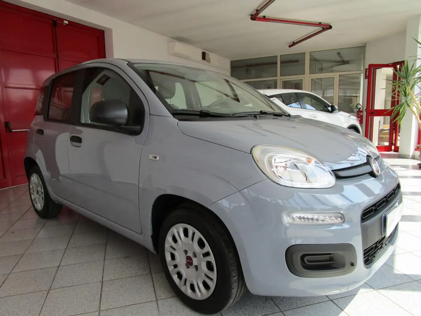 Fiat Panda 1.0  Hybrid  5POSTO City Life Grigio - 2