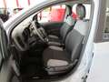 Fiat Panda 1.0  Hybrid  5POSTO City Life Grigio - thumbnail 8