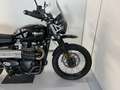 Triumph Street Scrambler 900 my21 - thumbnail 10