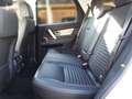Land Rover Discovery Sport D165 R-Dynamic SE Weiß - thumbnail 11