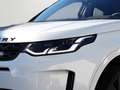 Land Rover Discovery Sport D165 R-Dynamic SE Weiß - thumbnail 5
