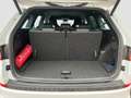 Skoda Kodiaq 2.0 SPORTLINE 7SITZE AHK CAM ACC LM19 Blanc - thumbnail 19