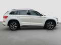 Skoda Kodiaq 2.0 SPORTLINE 7SITZE AHK CAM ACC LM19 Blanc - thumbnail 7