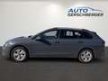 Volkswagen Golf Variant Golf VIII 2.0 TDI Life AHK, Aut, Memory Sitze, NA Grau - thumbnail 8