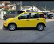 Fiat New Panda (Red) 1.0 FireFly Hybrid Argento - thumbnail 8