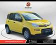 Fiat New Panda (Red) 1.0 FireFly Hybrid Argento - thumbnail 1