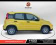 Fiat New Panda (Red) 1.0 FireFly Hybrid Argento - thumbnail 4