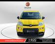 Fiat New Panda (Red) 1.0 FireFly Hybrid Argento - thumbnail 3