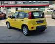 Fiat New Panda (Red) 1.0 FireFly Hybrid Argento - thumbnail 9