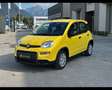 Fiat New Panda (Red) 1.0 FireFly Hybrid Argento - thumbnail 7