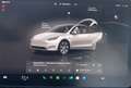 Tesla Model Y Long Range AWD 75kWh Weiß - thumbnail 1