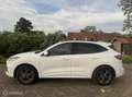 Ford Kuga 2.5 PHEV ST-Line | Trekhaak | Winter pack Blanc - thumbnail 3