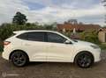 Ford Kuga 2.5 PHEV ST-Line | Trekhaak | Winter pack Blanc - thumbnail 4