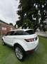 Land Rover Range Rover Evoque 5p 2.2 sd4 Prestige 190cv Blanc - thumbnail 4