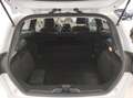Ford Fiesta 1.0 MHEV 125 CV 3 porte Van Trend Wit - thumbnail 13