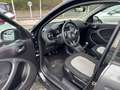 smart forFour Forfour 1.0 Passion 71 PANORAMA TAGLIANDI MERCEDES Grigio - thumbnail 7