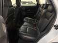 Land Rover Range Rover Evoque SE Dynamic 2,0 TD4 Aut. Weiß - thumbnail 30